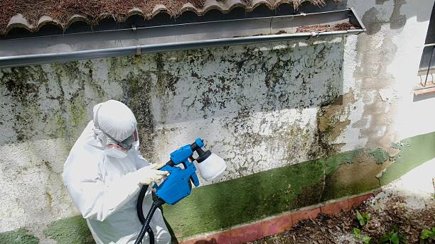 Mold Remediation service in Hillsboro, Hillsboro, OR